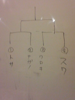 20081228142012.jpg